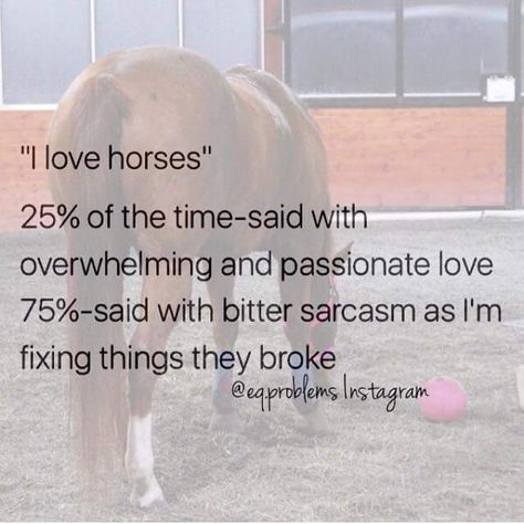 Cowgirl Problems, Equestrian Memes, Horses Funny, Horse Sayings, Funny Horse Memes, Horse Humor, Horse Meme, Horse Memes, Horse Quotes Funny