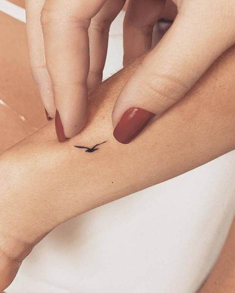 Tiny Tattoos Bird, Tiny Eagle Tattoo, Minimal Eagle Tattoo, Micro Bird Tattoos For Women, Flying Pelican Tattoo, Seagull Tattoo Minimalist, Minimalist Seagull Tattoo, Bird Micro Tattoo, Tiny Bird Tattoos For Women Wrist