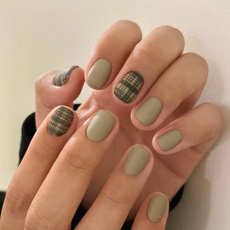 Korean Nail Designs, Winter Nail Colors, Olive Nails, Korean Nail, Hippie Nails, Beauty Nails Design, Plaid Nails, Nail Colors Winter, Korean Nails