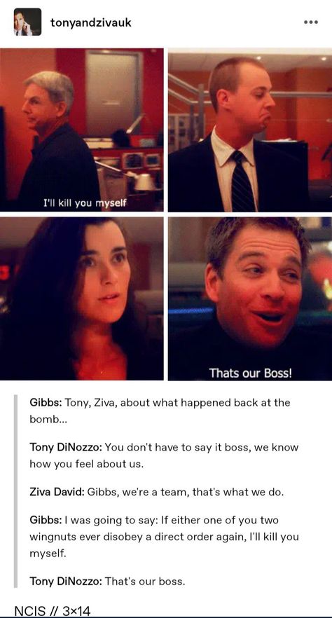 Gibbs And Tony, Tony And Ziva, Ncis Tony Dinozzo Funny, Tony And Tali Ncis, Ncis Gibbs Rules Quotes, Ncis Abby And Gibbs, Ncis Funny, Ziva And Tony, Ncis Memes Funny