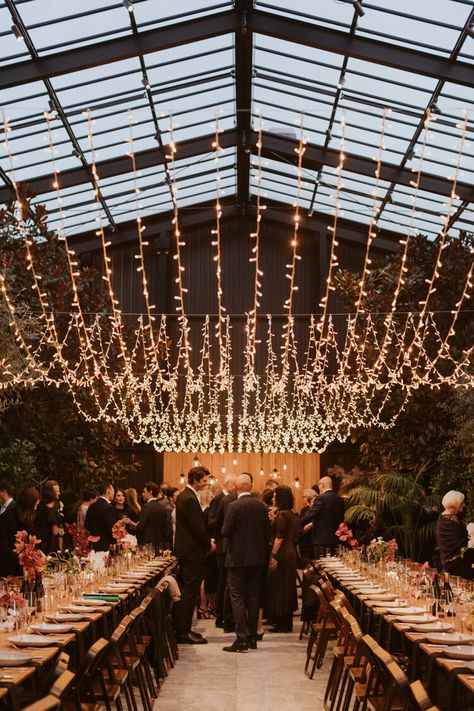 Ceiling Fairy Lights Wedding, Fairy Light Canopy Wedding, Fairy Lights Wedding Indoor, Fairy Lights Ceiling, Wonderland Festival, Fairy Light Canopy, Winery Wedding Decorations, Wedding Ceiling Decorations, Glass House Wedding