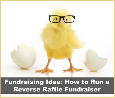 Fundraising Idea: How to Run a Reverse Raffle Fundraiser Raffle Drawing Ideas, Drawing Ideas Funny, Reverse Raffle, Raffle Fundraiser, Auction Gift Basket Ideas, Ticket Holders, The End Game, Raffle Tickets, Silent Auction