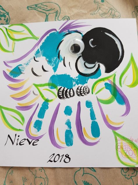 Handimals Parrot Axolotl Crafts, Bird Footprint, Nicu Nursing, Parrot Craft, Crafts 2024, Print Crafts, Toddler Ideas, Footprint Crafts, Toddler Art Projects