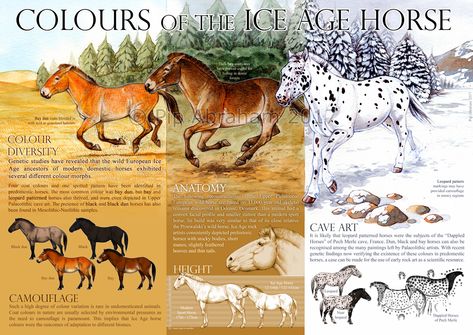 Colours of the Ice Age Horse by oxpecker on DeviantArt Ice Age Village, Prehistoric World, Horse Posters, Ancient Animals, Paleo Art, Extinct Animals, Vertical Poster, Prehistoric Creatures, Hack Online