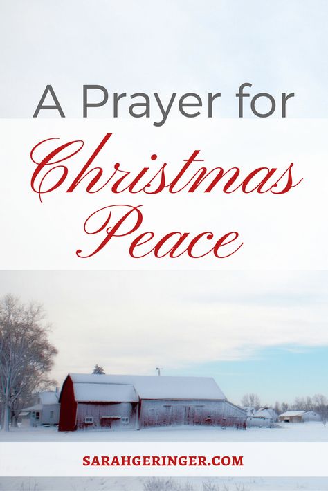 Bring peace into your Christmas season with this prayer. #peace #christmaspeace #prayer #intentionalliving Prayer For Christmas, Christmas Peace, Hope In Jesus, Christian Meditation, Christmas Prayer, Christ Centered Christmas, Christian Traditions, Prince Of Peace, Birth Of Jesus