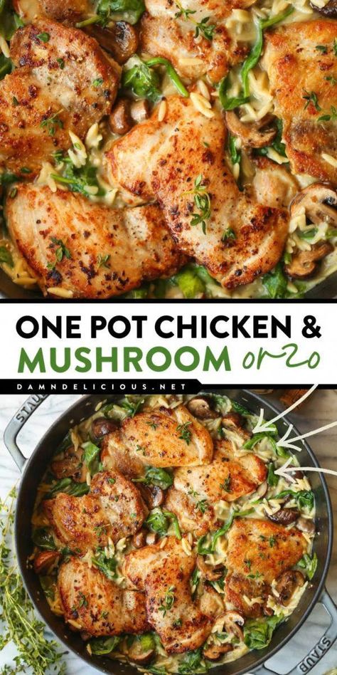 A main course recipe in just one pot! It's a chicken dinner idea with creamy orzo. Complete with spinach, this easy chicken and mushroom orzo has an amazing flavor you'll surely love! Pin this for later! Chicken And Mushroom Orzo, Mushroom Orzo, Mushrooms And Spinach, Chicken And Mushroom, One Pot Chicken, Orzo Pasta, Best Chicken Recipes, Chicken Dishes Recipes, Orzo