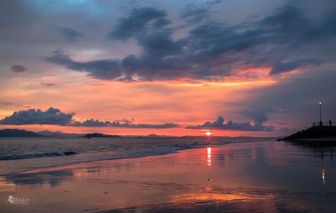 Fotos Ideas, Puntarenas, Hotel Resort, Gulf Of Mexico, Gulf Coast, Marine Life, West Coast, Lightroom, Shells