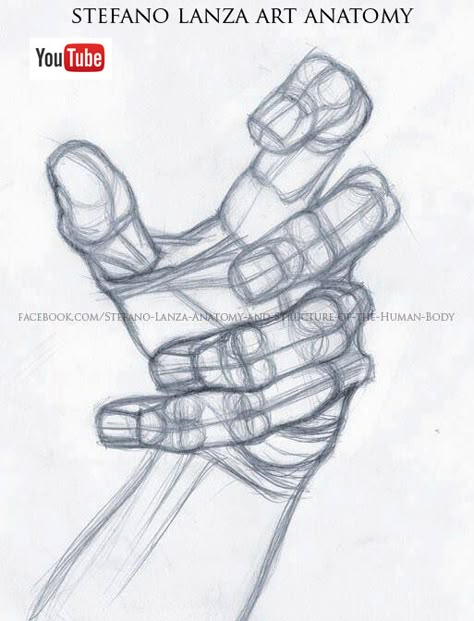 Stefano Lanza, Hands Study, Finger Drawing, Hand Study, Holding Something, Draw Hands, Hand Drawings, Drawing Hands, Hand Drawing Reference