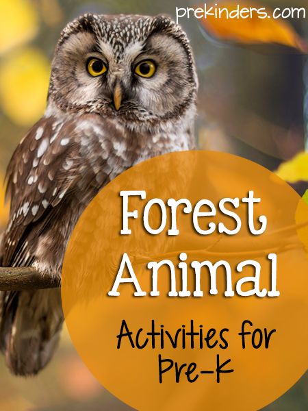 Forest Theme Activities, Forest Animal Activities, Preschool Forest Animals, Forest Animals Preschool, Forest Activities, Woods Animals, Forest Preschool, Forest Kindergarten, Diarama Ideas