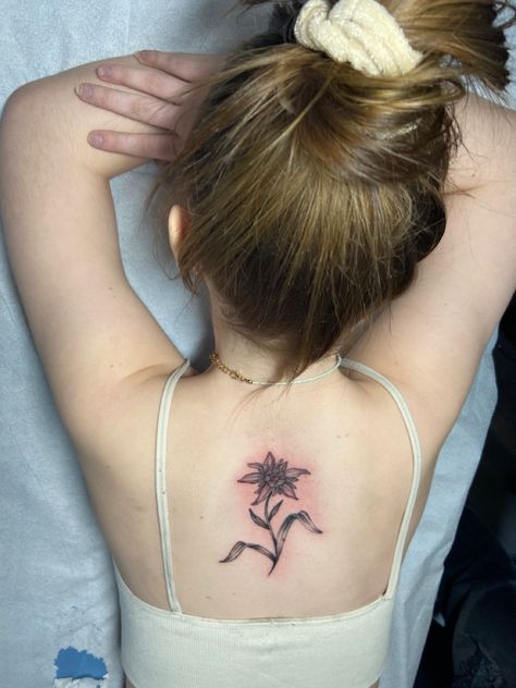 Edelweiss Flower Tattoo Simple, Eldeweiss Flower Tattoo, Edelweiss Flower Drawing, Edelweiss Flower Aesthetic Wallpaper, Edelweiss Tattoo, Small Back Tattoos, Edelweiss Flower, Back Tattoo, Small Flowers