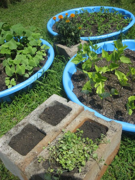 repurposed kiddy pools to garden bed, brings color to your garden Kiddie Pool Garden, Diy Veggie Garden, Herbal Tea Garden, Backyard Garden Landscape, Pool Garden, Kiddie Pool, Cinder Block, Container Gardening Vegetables, Planter Box