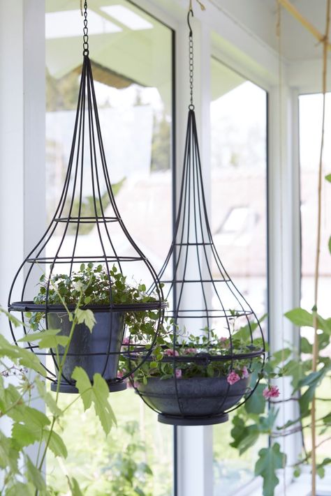 Wikholmform Interior Spring 2020 Hanging Ferns, Living Classic, Metal Hanging Planters, Perennial Bulbs, Crocus Flower, Organic Mulch, Indoor Plant Care, Outdoor Pots, Terrarium Plants