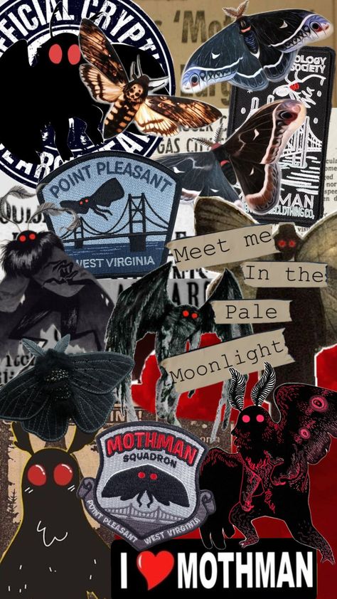 #mothman #cryptids #I<3Mothman #mothmanaesthetic #mothmanwallpaper #cryptidcore #cryptidwallpaper #Ilovemothman #mothmancore Mothman Poster, Mothman Wallpaper, Mothman Aesthetic, Frank Core, Cryptidcore Aesthetic, Paranormal Aesthetic, The Mothman, Dinosaur Wallpaper, Y2k Wallpaper