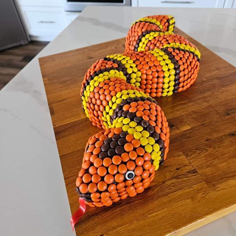 Reese Pieces, Snake Cake, Snake Cakes, Snake Birthday, Snake Party, Reptile Party, Fishing Birthday, Birthday Cake Recipe, Childrens Birthday Cakes