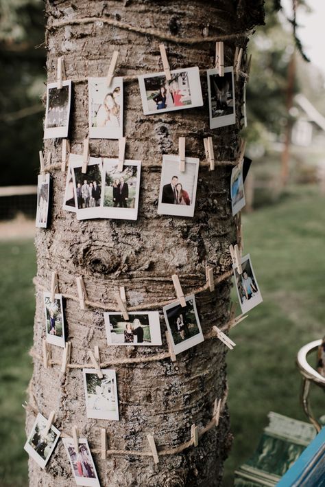 Tree Photo Display, Tree With Photos Hanging, Photo Tree Wedding, Pictures Hanging From Trees, Wedding Photo Station Ideas, Polaroid Wedding Decor, Polaroid Booth Wedding, Wedding Polaroid Ideas, Budget Wedding Ideas Decoration