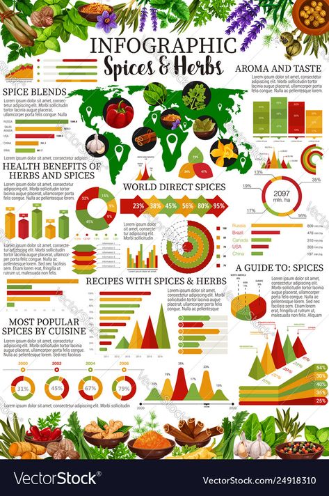 Graphs And Charts, Vector Graph, Chart Infographic, Spices And Herbs, Cinnamon Vanilla, Spice Recipes, Spice Blends, Graphic Arts, Best Templates