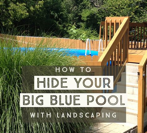 Hiding a Big Blue Above Ground Pool in a Landscaped Backyard Pool And Pool House Ideas, Round Above Ground Pool, Inground Pool Landscaping, Cheap Pool, Outside Pool, Intex Pool, Pool Life, Pool Landscape Design, Above Ground Pool Landscaping