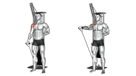 Single Arm Cable Front Raise Front Raises, Best Exercise, Shoulder Workout, Muscles, Bodybuilding, Cable, Health