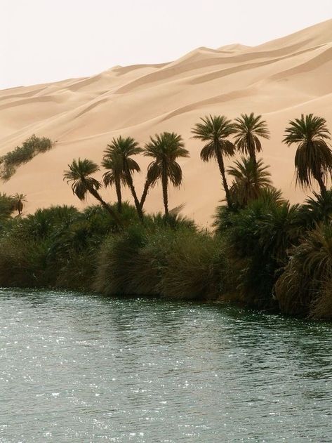 Libya Desert, Siwa Egypt, Egypt Aesthetic, Desert Aesthetic, Desert Oasis, Desert Art, Abundance Mindset, المملكة العربية السعودية, Libya