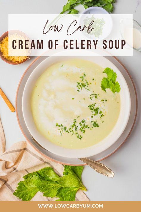 Looking to warm up with a comforting bowl of soup? My homemade cream of celery soup is just the thing you need! Made with heavy cream along with fresh and fragrant vegetables, this recipe is a million times better than the canned stuff! Homemade Cream Of Celery Soup, Aip Foods, Soups For Kids, Keto Soups, Cream Of Celery, Keto Cream, Homemade Crackers, Cream Of Celery Soup, Celery Soup