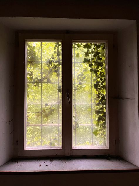 Ivy On House Exterior, Ivy Cottage, Green Window, Forest Mural, Ivy Vine, English Ivy, State Of Grace, Living Room Accents, Black Forest