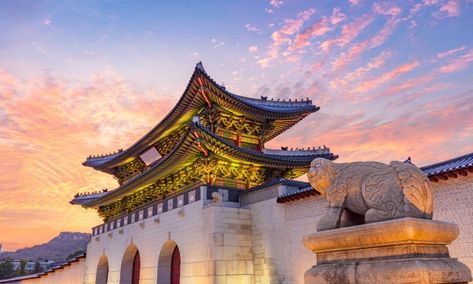 Gyeongbokgung Palace, Nature Architecture, Photo Nature, International Day, Premium Photo, Flyer Design, Barcelona Cathedral, South Korea, Seoul