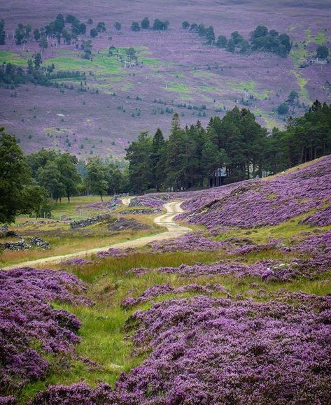 Braemar, the Dee Valley, and Glen Ey, Scotland | @ruaridhmccoll Best Of Scotland, Aberdeenshire Scotland, Cairngorms National Park, Irish Countryside, Scotland Highlands, A Hill, Scenic Routes, Scottish Highlands, Beautiful Landscapes