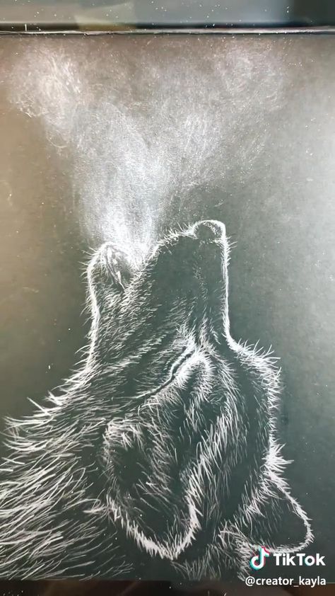 Blacksheet Art, Scracht Art, Things To Draw On Black Paper, White Sketch On Black Paper, Scratchboard Art Ideas, Black Paper Art Ideas, Black Paper Drawing Ideas Easy, Black Sketchbook Drawing, Draw On Black Paper