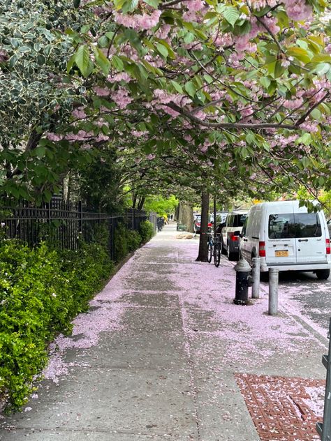 Blossoms fill the sidewalks on the side of a secondhand clothing shop in Brooklyn, New York ••• cherry blossom flowers walk nyc newyork buildings pretty landscape colors inspire #nyc #brooklyn #aesthetic #blossom #flowers #landscape #urban #urbanjungle Cherry Blossom New York, Nyc Cherry Blossoms, Yvonne Core, Brooklyn Aesthetic, Park Slope Brooklyn, Spring In New York, New York Wallpaper, Walking City, Bad Reputation