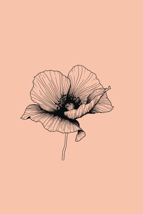 #tattoo, #tattoos, #inked, #tattooart, #tattooedwomen, #tattooedguys, #tattooinspiration, #tattooideas, #tattooworldwide, #tattoosociety, #InkLaughs, and #TattooFails​ Poppy Illustration, Illustration Botanical, Poppies Tattoo, Soyut Sanat Tabloları, Floral Drawing, Flower Illustration, Floral Illustrations, Line Art Drawings, Flower Tattoos