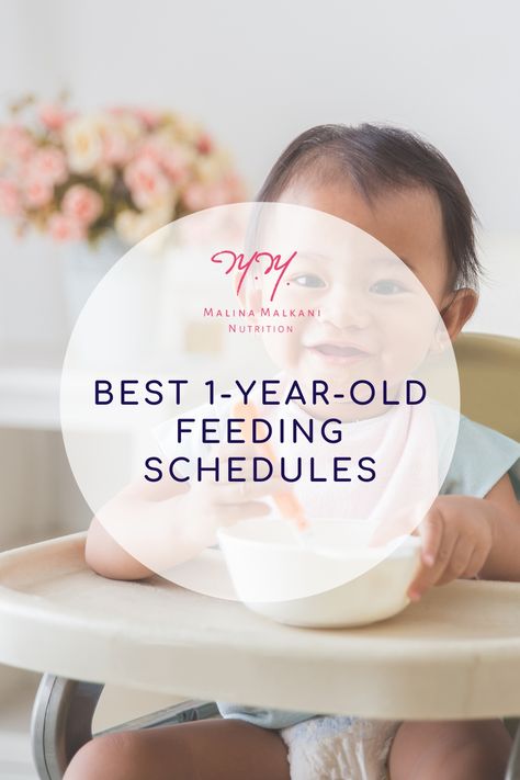 Learn more from a pediatric dietitian about the best 1-year-old feeding schedules that help prevent picky eating and encourage healthy eating habits. Feeding Schedule 1 Year, One Year Old Feeding Guide, One Year Old Food Schedule, One Year Old Eating Schedule, One Year Old Feeding Schedule, 100 Before 1, Baby Eating Schedule, One Year Old Foods, Pediatric Nutrition