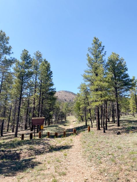 #hiking #outdoors #summer #aesthetic #flagstaff Flagstaff Aesthetic, 2025 Vision, Flagstaff, Spring Aesthetic, September 2024, Summer Aesthetic, New Mexico, Utah, Arizona