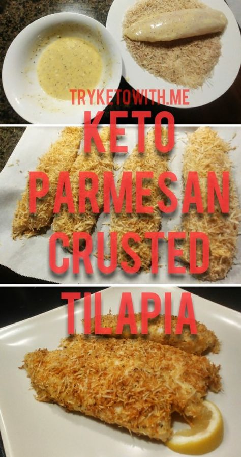 Keto Tilapia, Tilapia Parmesan, Healthy Tilapia, Parmesan Crusted Tilapia, Tilapia Recipe, Crusted Tilapia, Tilapia Recipes, Parmesan Crusted, Easy Soup Recipes