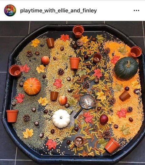 Autumn Small World Eyfs, Pumpkin Patch Tuff Tray, Pumpkin Soup Eyfs, Halloween Tuff Tray Ideas, Autumn Eyfs Activities, Autumn Eyfs, Harvest Activities, Tuff Tray Ideas Toddlers, Food Lessons