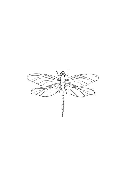 Small Dragonfly Tattoo, Girl Shoulder Tattoos, Cuff Tattoo, Autumn Tattoo, Dragonfly Tattoo Design, Butterfly Stencil, Coffee Tattoos, Dragonfly Tattoo, Line Art Tattoos