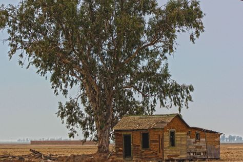 California - Kern County - Arvin Eve Babitz, Western Gothic, Kern County, Vivid Dreams, Playing Card, Egypt, Angeles, California, House Styles