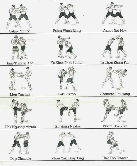 Thai Workout, Boxing Moves, Kickboxing Moves, Muay Thai Techniques, Thai Box, Fighter Workout, Boxing Training Workout, Mixed Martial Arts Training, Judo Karate