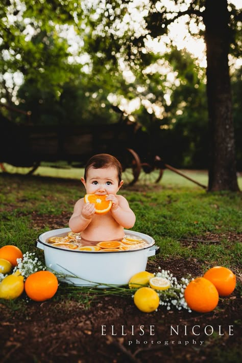 Citrus baby bath Baby Milk Bath, 6 Month Baby Picture Ideas, 6 Month Photos, Citrus Baby, Milk Bath Photography, Month Photos, Bath Photography, Baby Photoshoot Boy, Baby Boy Pictures