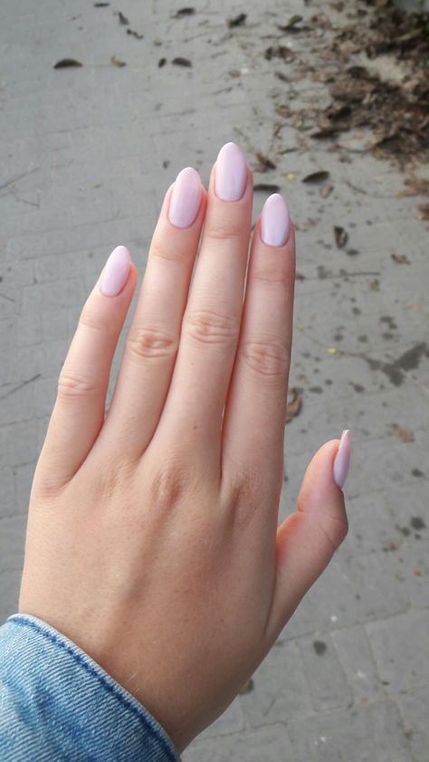 Soft pink 💗 #nails #manicure #nails2018 #pinknails Barely Pink Nails, Light Pink Manicure, Pink Nails Manicure, Pale Pink Nails, Soft Pink Nails, Nails 2018, Pink Manicure, Pink Forest, Nails Manicure