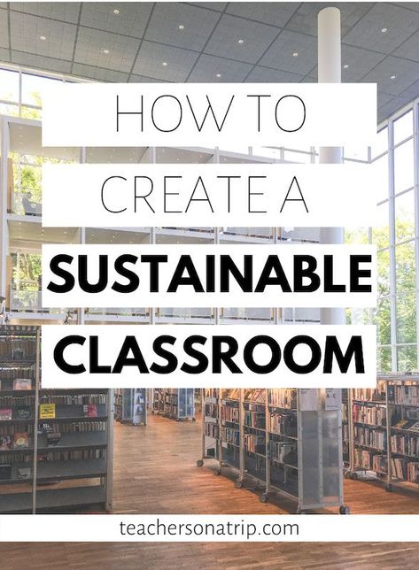 Being sustainable in a school can be difficult. But I have 7 easy things I QUIT doing in my classroom that not only save me time and money, but also help keep me environmentally friendly! Check out some easy ways you can create an eco-friendly classroom here. #sustainable #environmental #environmentally #friendly #eco #green #classroom #education #schools #steps #teacher #zero #waste #ecological #teaching #plastic #free #how Zero Waste Classroom, Sustainable School Projects, Eco Classroom Ideas, Sustainable Classroom Ideas, Eco Friendly Classroom, Environmental Club Ideas High School, Environmental Science Classroom Decor, Sustainability Projects School, Eco School Ideas