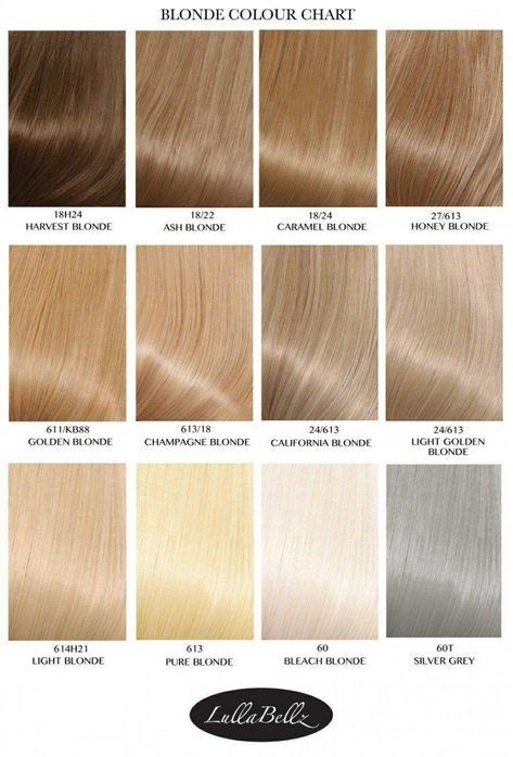 Hair Color For Fine Thinning Hair, Blond Shades Of Hair, Soft Spring Hair Color, Light Sandy Blonde Hair, Going From Blonde To Brown, Bright Golden Blonde Hair, Champagne Blond, Blonde Hair Color Chart, Cosmo School