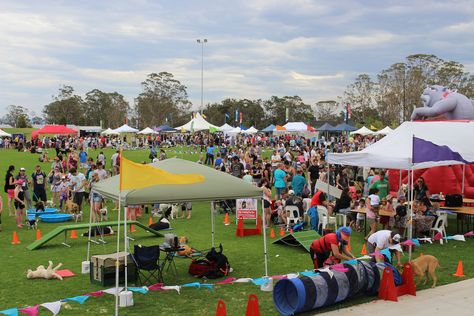 Blacktown Pet Festival 2018 - October 7 | Australian Dog Lover Dog Show Ideas, Dog Festival Ideas, Dog Event Ideas, Pet Festival, Dog Festival, Dog Event, Dog Events, Pet Event, Australian Dog