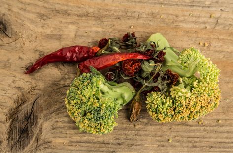 Is There a Danger in Eating Wilted Vegetables? | Livestrong.com Rotten Vegetables, Cabbage Head, Onion Bulbs, Raw Broccoli, Plant Diseases, Green Vegetables, Root Vegetables, Edible Plants, Food Quality