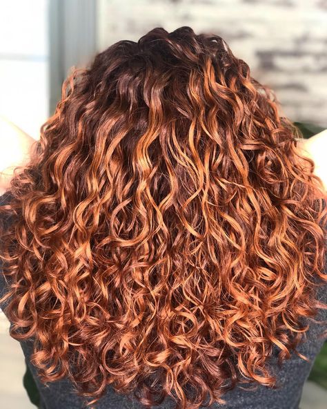 Curly Hair Fall Color Ideas, Curly Copper Hair Natural Curls, Brunette Hair With Copper Highlights, Copper Highlights On Brown Hair Curly, Natural Red Hair With Highlights, Coloring Curly Hair, Curly Copper Hair, Fall Balayage Hair, Toned Balayage