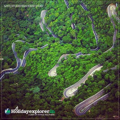 Yercaud in Tamil Nadu is a paradise for nature lovers, trekkers and adventurers. Ooty, India Tour, Hill Station, A Hill, Tourist Places, Tamil Nadu, Travel And Tourism, Tour Packages, Tourism