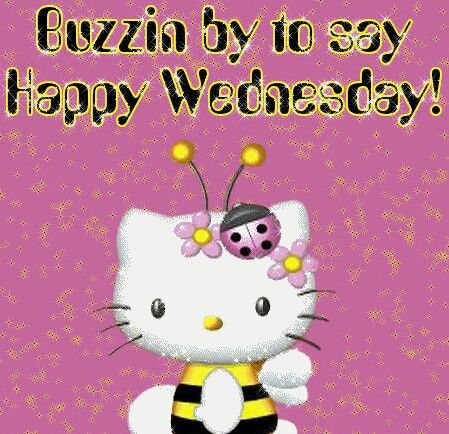 Happy Wednesday Pictures, Wednesday Hump Day, Wednesday Greetings, Good Morning Wednesday, Happy Wednesday Quotes, Wednesday Quotes, Wonderful Wednesday, Happy Gif, This Is Your Life