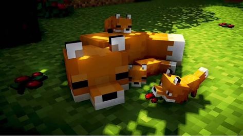 There are so many different types of mobs in Minecraft, each making its own special mark on the world they inhabit. One of the most notorious mobs in Minecraft is the fox. Minecraft Fox Aesthetic, Fox Aesthetic, Minecraft Images, What Does The Fox Say, Paper Fox, Fox Images, Cute Dog Wallpaper, Minecraft Pictures, Minecraft Mobs