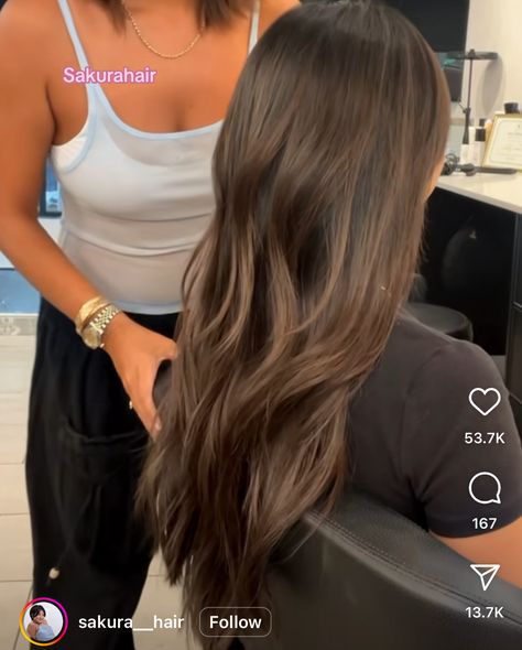 Ashy Brown Balayage, Ashy Brown, Beige Highlights, Color Hairstyles, Black Hair Balayage, Brown Ombre Hair, Brown Hair Inspo, Chocolate Hair, Eyelash Extentions