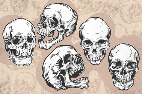 Business Newsletter Templates, Computer Logo, Super Human, Skull Illustration, Skull Logo, Human Skull, Tattoos Gallery, Skull Art, Colorful Drawings