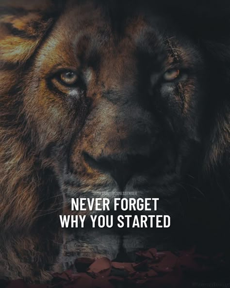 Lion Attitude Quotes, Lion Quote, Tiger Quotes, Motivational Quotes For Men, Leo Quotes, Lion Quotes, Wolf Quotes, Lion Images, Self Inspirational Quotes